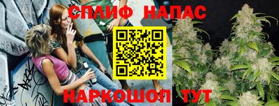 mdpv Бийск
