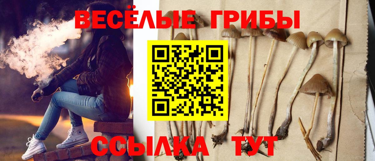 Дмитров  Псилоцибиновые грибы MAGIC MUSHROOMS  Вход с VPN  Псилоцибиновые грибы Psilocybe 